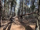 photo thumbnail #12