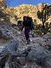 photo thumbnail #2