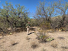 photo thumbnail #3