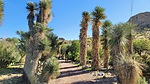 photo thumbnail #9