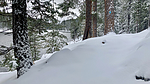 photo thumbnail #7