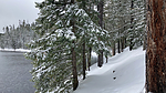 photo thumbnail #8