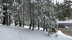 photo thumbnail #10