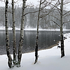 photo thumbnail #14