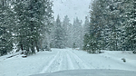 photo thumbnail #15