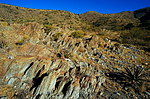 photo thumbnail #3