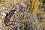 photo thumbnail #9