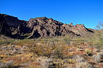 photo thumbnail #4