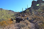 photo thumbnail #3