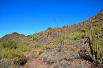 photo thumbnail #5