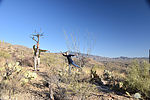 photo thumbnail #4