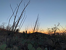 photo thumbnail #11
