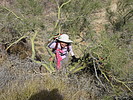 photo thumbnail #14