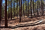 photo thumbnail #9