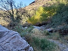 photo thumbnail #8