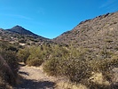 photo thumbnail #5
