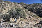 photo thumbnail #13
