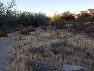 photo thumbnail #5