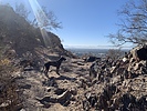photo thumbnail #3