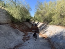 photo thumbnail #4