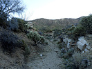 photo thumbnail #12