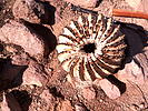 photo thumbnail #10