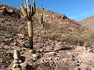 photo thumbnail #11