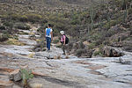 photo thumbnail #6
