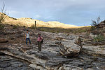 photo thumbnail #8