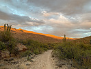 photo thumbnail #15