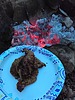 photo thumbnail #8