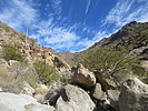 photo thumbnail #1