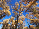 photo thumbnail #13