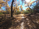 photo thumbnail #15