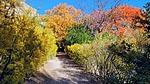 photo thumbnail #9