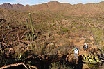 photo thumbnail #8