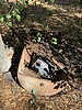 photo thumbnail #5
