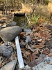 photo thumbnail #6