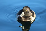 photo thumbnail #11