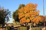 photo thumbnail #15