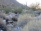 photo thumbnail #9