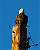 photo thumbnail #10