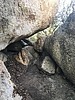 photo thumbnail #15