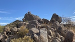 photo thumbnail #3