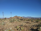 photo thumbnail #3