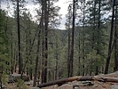 photo thumbnail #9