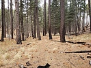 photo thumbnail #10