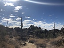 photo thumbnail #8