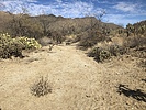 photo thumbnail #10