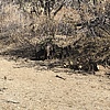 photo thumbnail #12